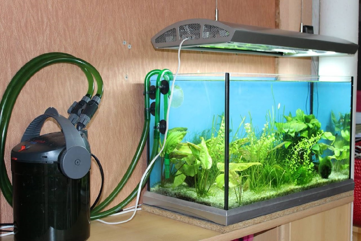 Everything you should know about Fish Tank Filters