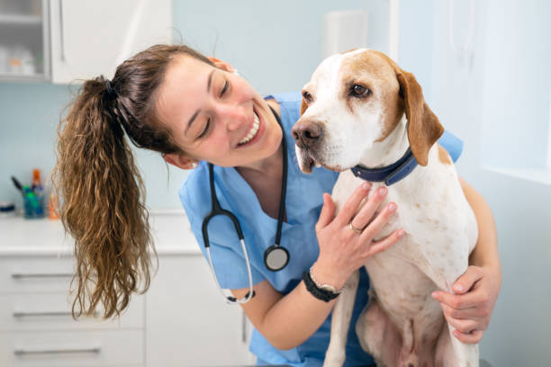 Learn Why It’s Important to Take Your Pet in for CheckupsRegularly