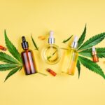 Want To Try CBD? Here’s Why You Should!