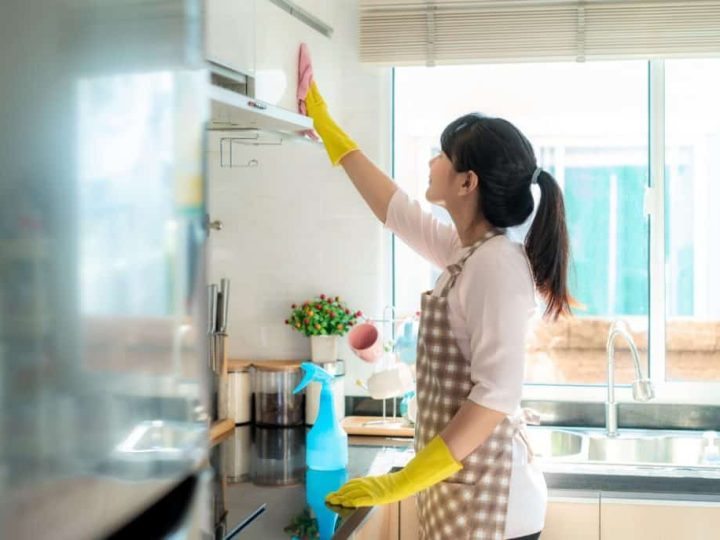 Balancing Home and Work: How a Domestic Helper Can Transform Your Life