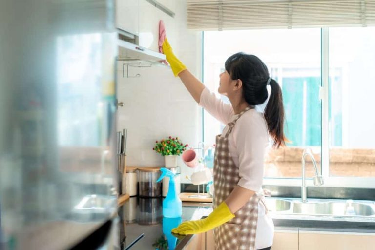 Balancing Home and Work: How a Domestic Helper Can Transform Your Life